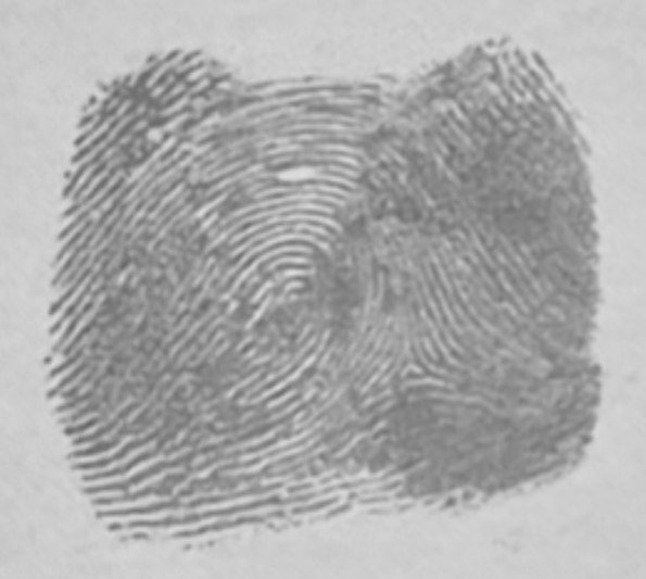 Enhanced fingerprint crop used during InstantEFT review