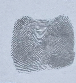 Original fingerprint crop from a phone-captured FD-258 card